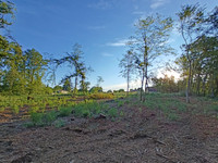 Terrain à vendre à Sarlat-la-Canéda, Dordogne - 77.000 € - photo 2