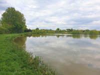 Lacs à vendre à Grez-en-Bouère, Mayenne - 88 000 € - photo 10