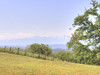 French property for sale in Orthez, Pyrénées-Atlantiques - €745,000 - thumbnail 9