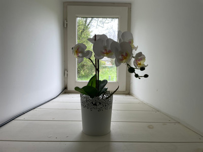 French property for sale in Plouguenast-Langast, Côtes-d'Armor - €183,600 - photo 10