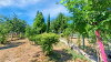 French property for sale in Cussac, Haute-Vienne - €119,900 - thumbnail 9