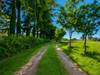 French property for sale in Vire Normandie, Calvados - €180,000 - thumbnail 14