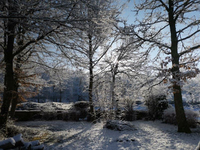 French property for sale in Pontcharraud, Creuse - €167,400 - photo 4