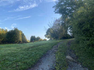 French property for sale in Monflanquin, Lot-et-Garonne - €239,999 - photo 9