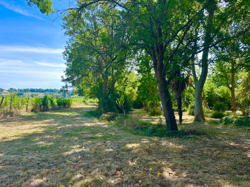 French property for sale in Saint-Laurent-des-Vignes, Dordogne - €314,000 - photo 3