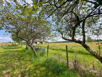 French property for sale in Parcoul-Chenaud, Dordogne - €252,500 - photo 6