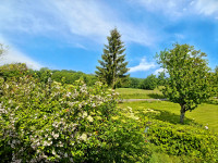 Propriété à vendre à Champagnac-la-Rivière, Haute-Vienne - 99 000 € - photo n°7