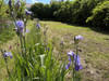 French property for sale in Arnay Le Duc, Côte-d'Or - €112,000 - thumbnail 8