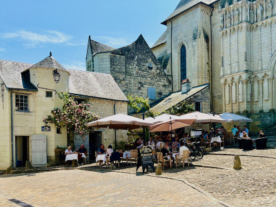 Commerce à vendre à Candes-Saint-Martin, Indre-et-Loire, Centre, avec Leggett Immobilier