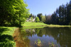 French property for sale in Anglès, Tarn - €368,500 - thumbnail 9