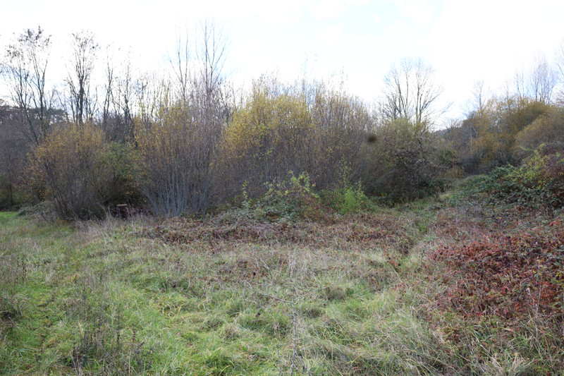 French property for sale in Thonac, Dordogne - €75,210 - photo 8