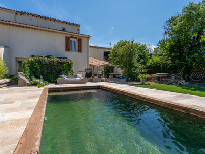 Isle/Sorgue: Property with an apartment, 2 gîtes, 3 jacuzzis, and a swimming pool, all with excellent income.