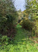French property for sale in Saint-Goussaud, Creuse - €61,600 - thumbnail 9