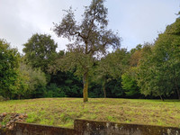 Maison à Champagné-Saint-Hilaire, Vienne - photo 9