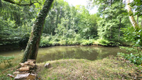 Maison à vendre à Domfront en Poiraie, Orne - 148.351 € - photo 9