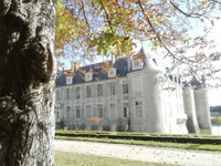 Chateau à vendre à Orléans, Loiret - 250 000 € - photo 10