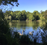 Appartement à vendre à Garches, Hauts-de-Seine - 1.036.900 € - photo 9