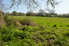French property for sale in Aunac-sur-Charente, Charente - €42,500 - thumbnail 5