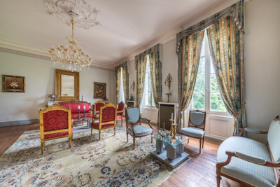 Stunning 19th century Chateau beautifully renovated in a prime position with  parkland to the rear