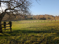 Propriété à vendre à Mortagne-au-Perche, Orne - 172 000 € - photo n°10