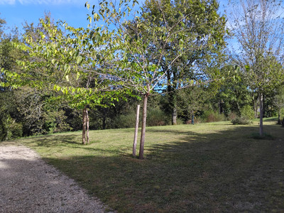French property for sale in Thenon, Dordogne - €560,000 - photo 9