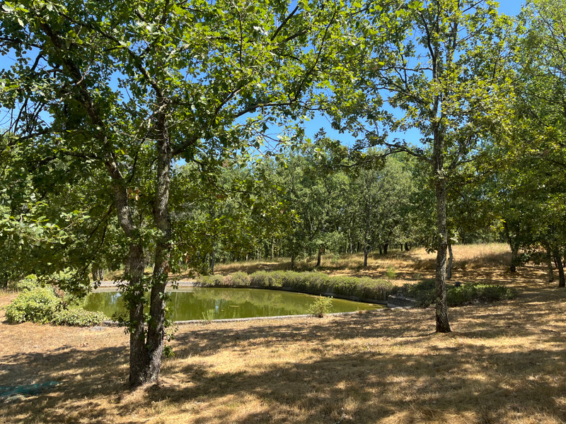 French property for sale in Bagnols-en-Forêt, Var - €1,620,000 - photo 3