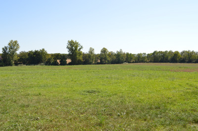 French property for sale in Calonges, Lot-et-Garonne - €318,000 - photo 2