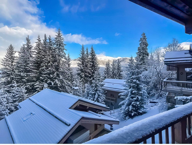 French property for sale in Courchevel, Savoie - €2,100,000 - photo 2