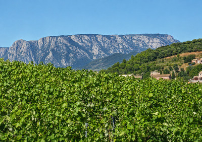 French property for sale in Saint-Chinian, Hérault - €1,700,000 - photo 9