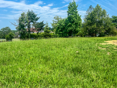 land for sale in Pyrénées-Atlantiques