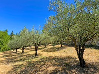Propriété à vendre à Aubres, Drôme - 749 000 € - photo n°9