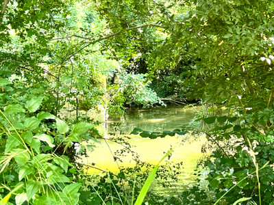 French property for sale in Eymet, Dordogne - €296,800 - photo 7