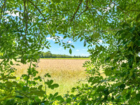 Maison à vendre à Nantillé, Charente-Maritime - 325.000 € - photo 6