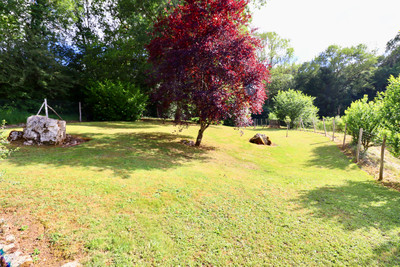 French property for sale in Souffrignac, Charente - €129,000 - photo 5