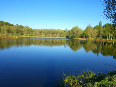 French property for sale in Fougères, Ille-et-Vilaine - €415,000 - photo 4
