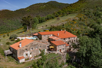 Propriété à vendre à Prats-de-Mollo-la-Preste, Pyrénées-Orientales - 995 000 € - photo n°9