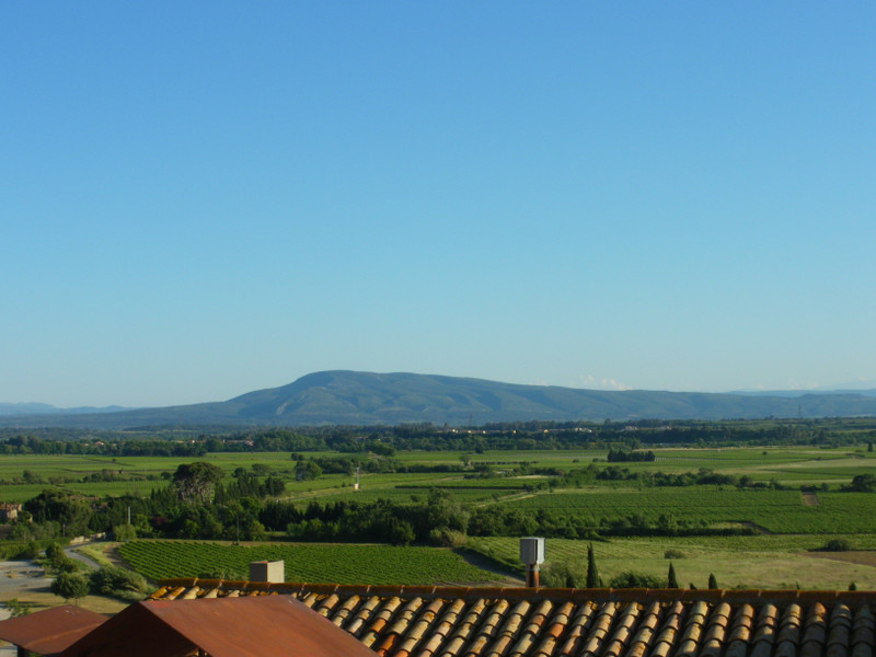 French property for sale in Azille, Aude - photo 9