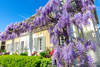 French property for sale in Saint-Frichoux, Aude - €478,000 - thumbnail 14