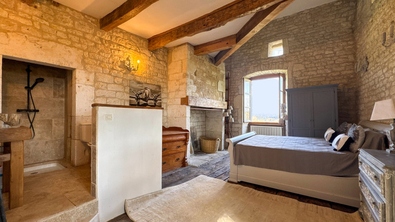 French property for sale in Belvèze, Tarn-et-Garonne - €875,000 - photo 9
