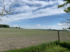 French property for sale in Messac, Charente-Maritime - €318,000 - thumbnail 14
