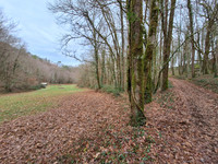 Propriété à vendre à Saint-Geniès, Dordogne - 579 500 € - photo n°5