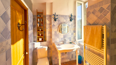 French property for sale in Sainte-Valière, Aude - €265,000 - photo 8