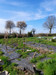 French property for sale in Thubœuf, Mayenne - €61,100 - thumbnail 9