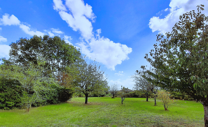 French property for sale in Saint-Séverin, Charente - €267,750 - photo 5