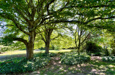 French property for sale in Eymet, Dordogne - €474,000 - photo 1