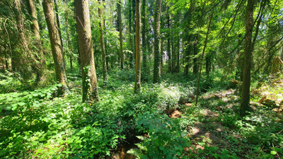 French property for sale in Ceaucé, Orne - €250,000 - photo 13