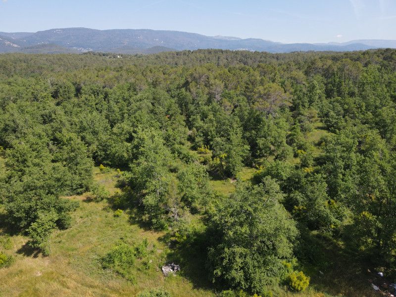 French property for sale in Fayence, Var - €1,250,000 - photo 3