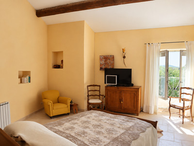 French property for sale in Durfort-et-Saint-Martin-de-Sossenac, Gard - €1,195,000 - photo 6