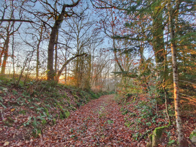 Imposing country manor house with second house to renovate in a serene woodland setting near Felletin