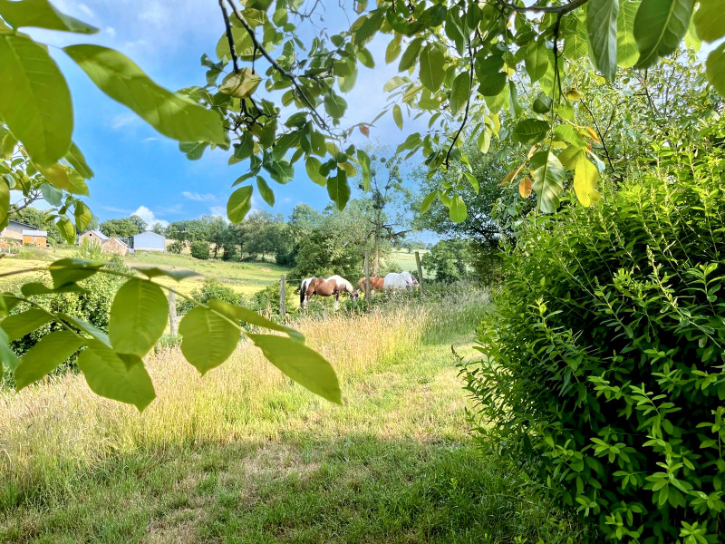 French property for sale in Trans, Mayenne - €313,000 - photo 1